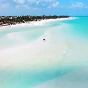 hotel-mayari-holbox.quintano-roohotels.com/